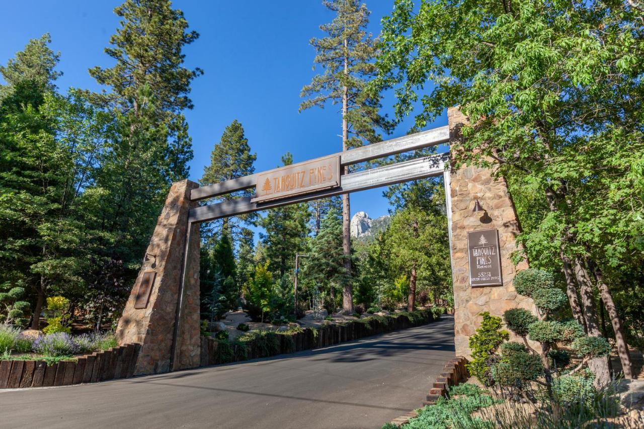Hotel Tahquitz Pines Retreat Idyllwild Exteriér fotografie